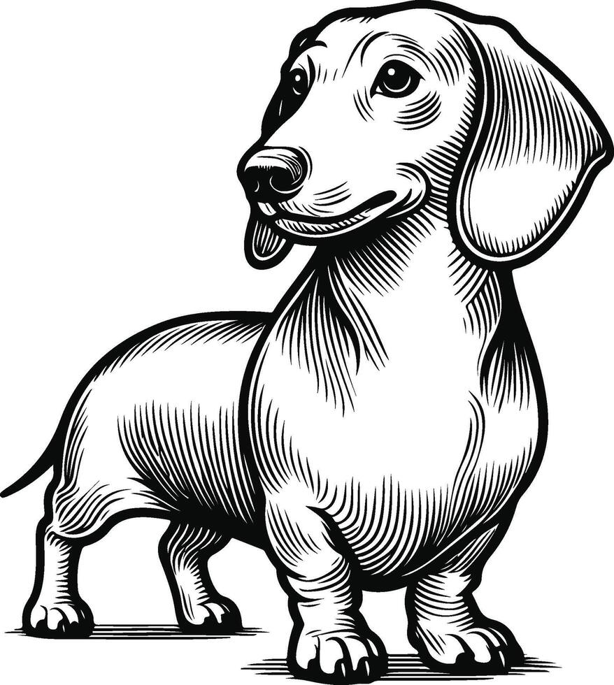 dachshund dog continuous one line drawing vector