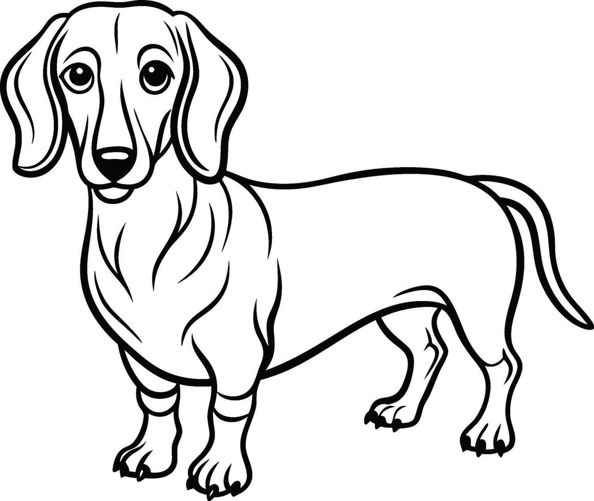 one line drawing Dachshund dog vector