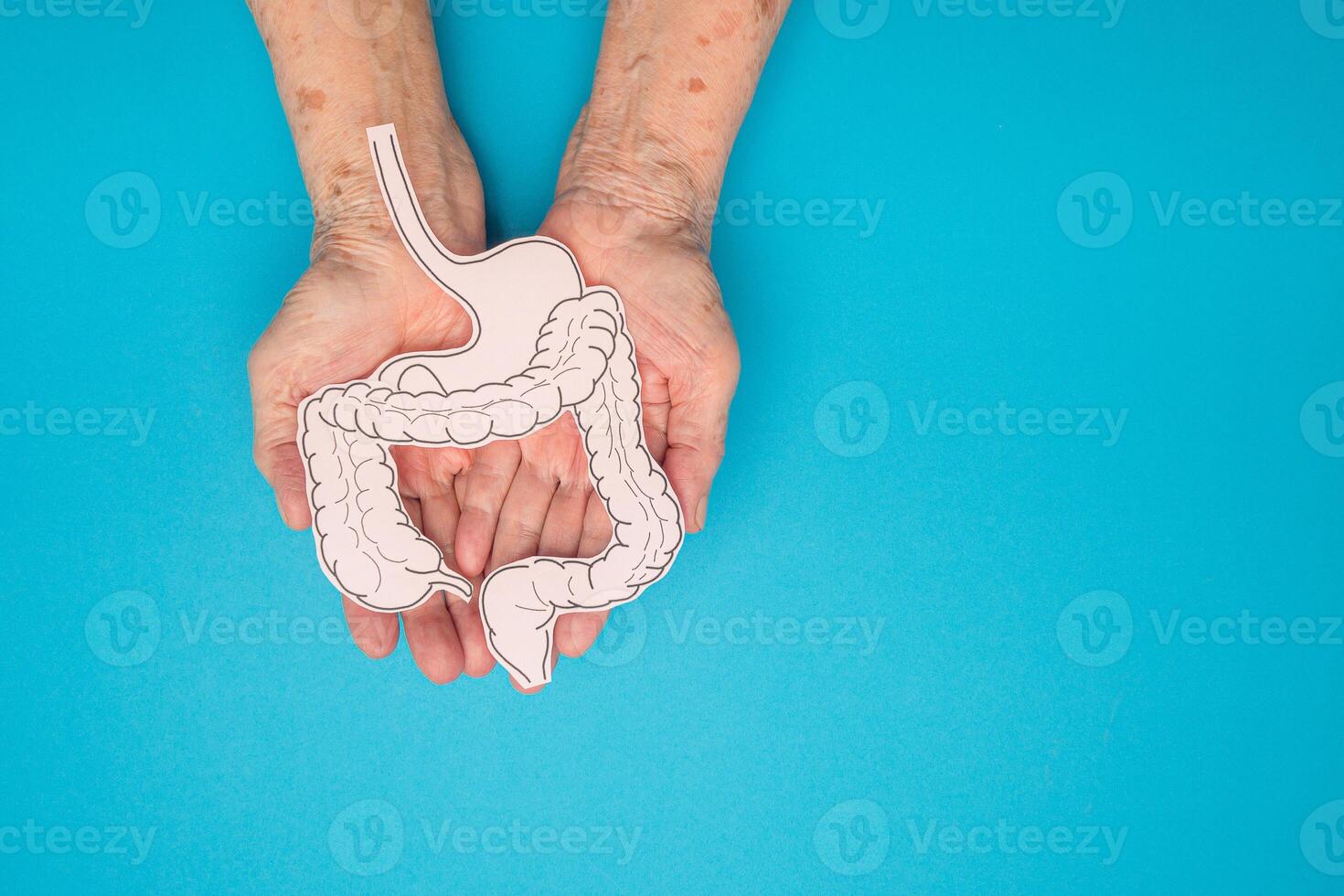 A large intestine shape made from paper on a palm senior woman on a light blue background photo