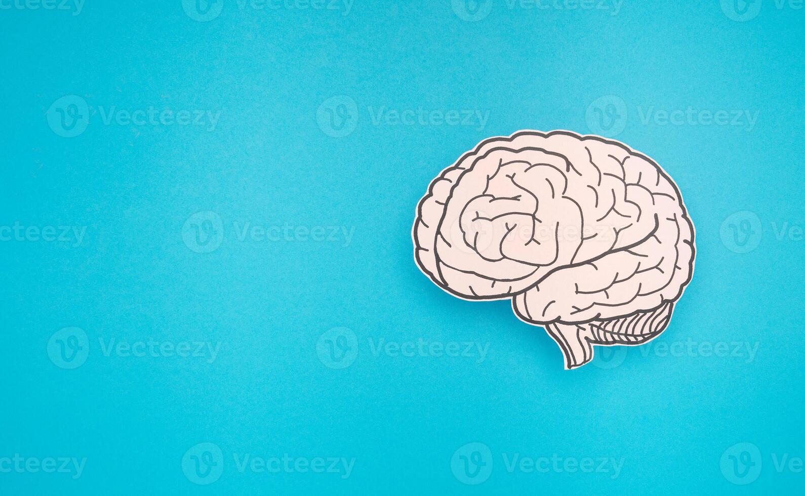 A brain shape made from paper on a blue background photo