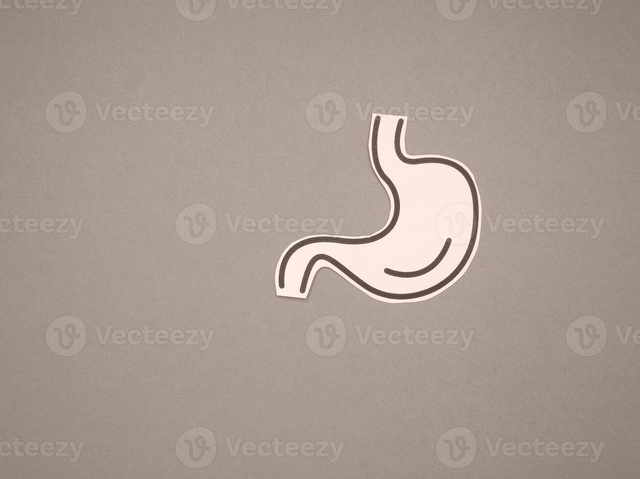 Stomach shape made from pink paper over a gray background photo