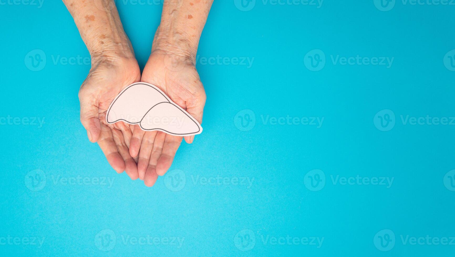 Liver shape made from paper on a palm senior woman over a blue background photo