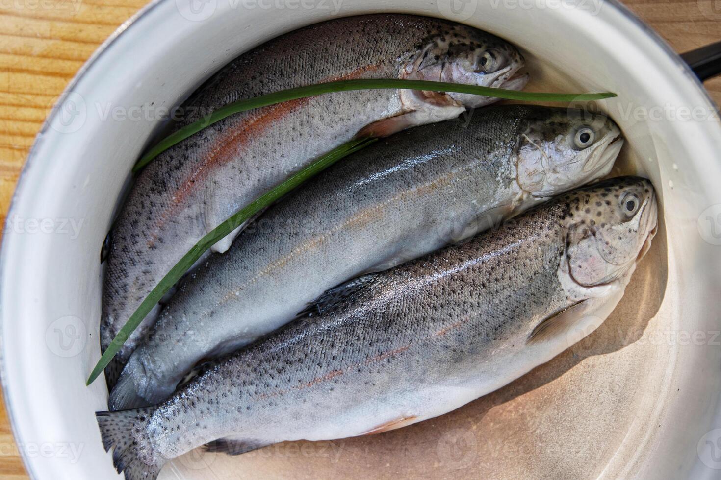 Three raw freshly caught rainbow trouts laid in a white enamelled bowl in the kitchen. Closeup of a fresh forel trout fish in a casserole pot, ready for preparation and cooking. Top view. photo