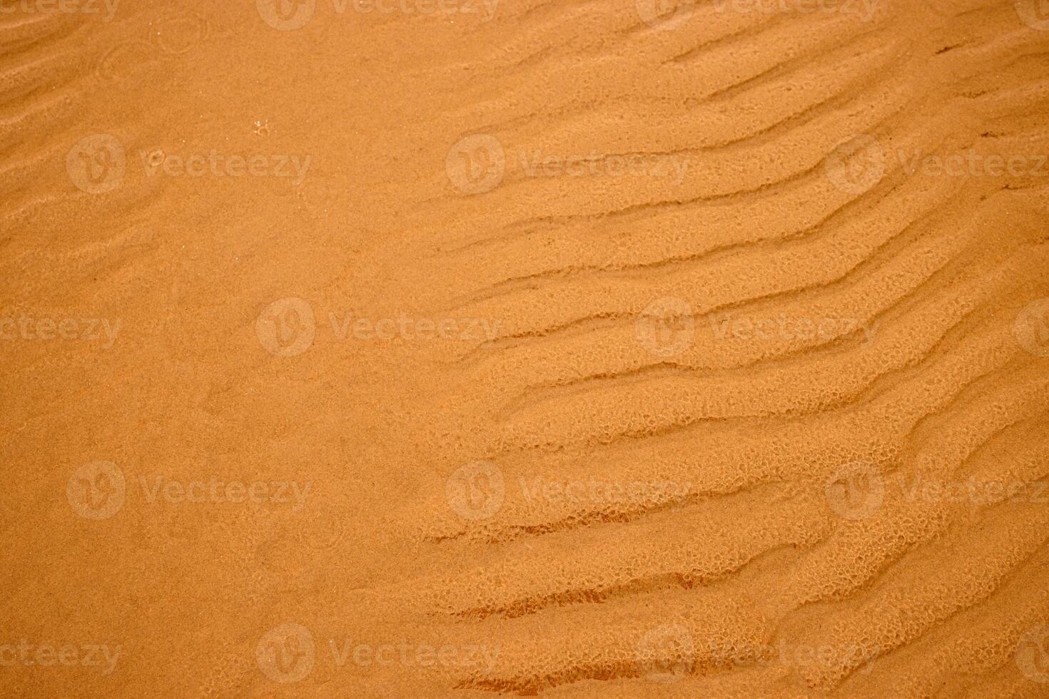 Closeup of sand ripples on a beach. Natural rhythmic wave like pattern formed by wind and water. Textured background displaying the delicate wavy texture of coastal landscape. photo