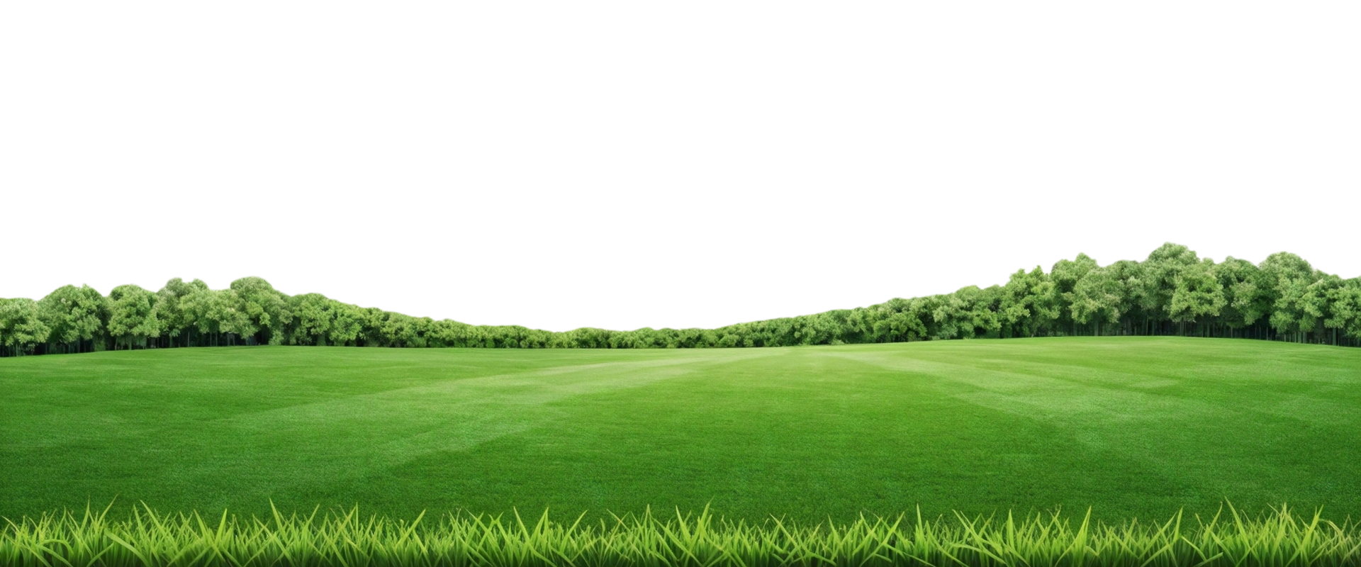 A green grass landscape on a transparent background png