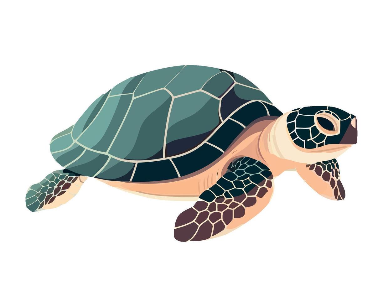 Cute turtle with green shell isolated vector
