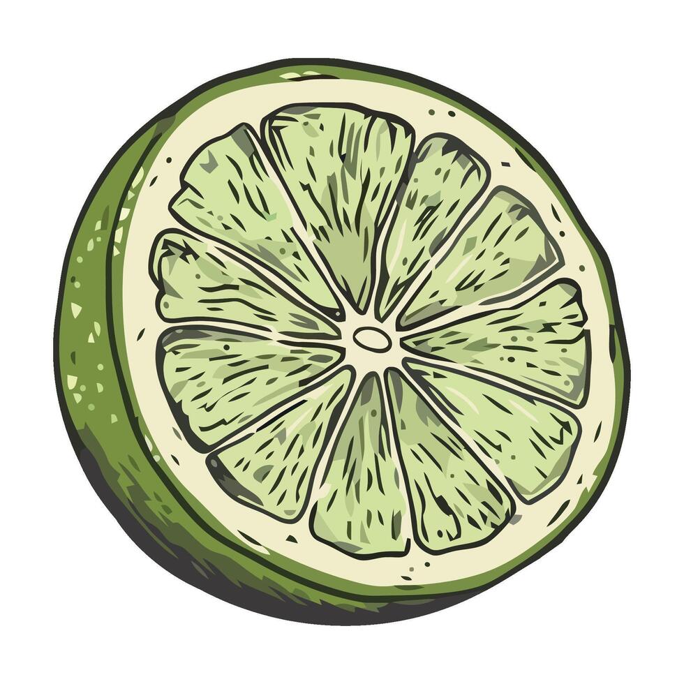 Juicy citrus slice, fresh and organic delight icon isolated vector
