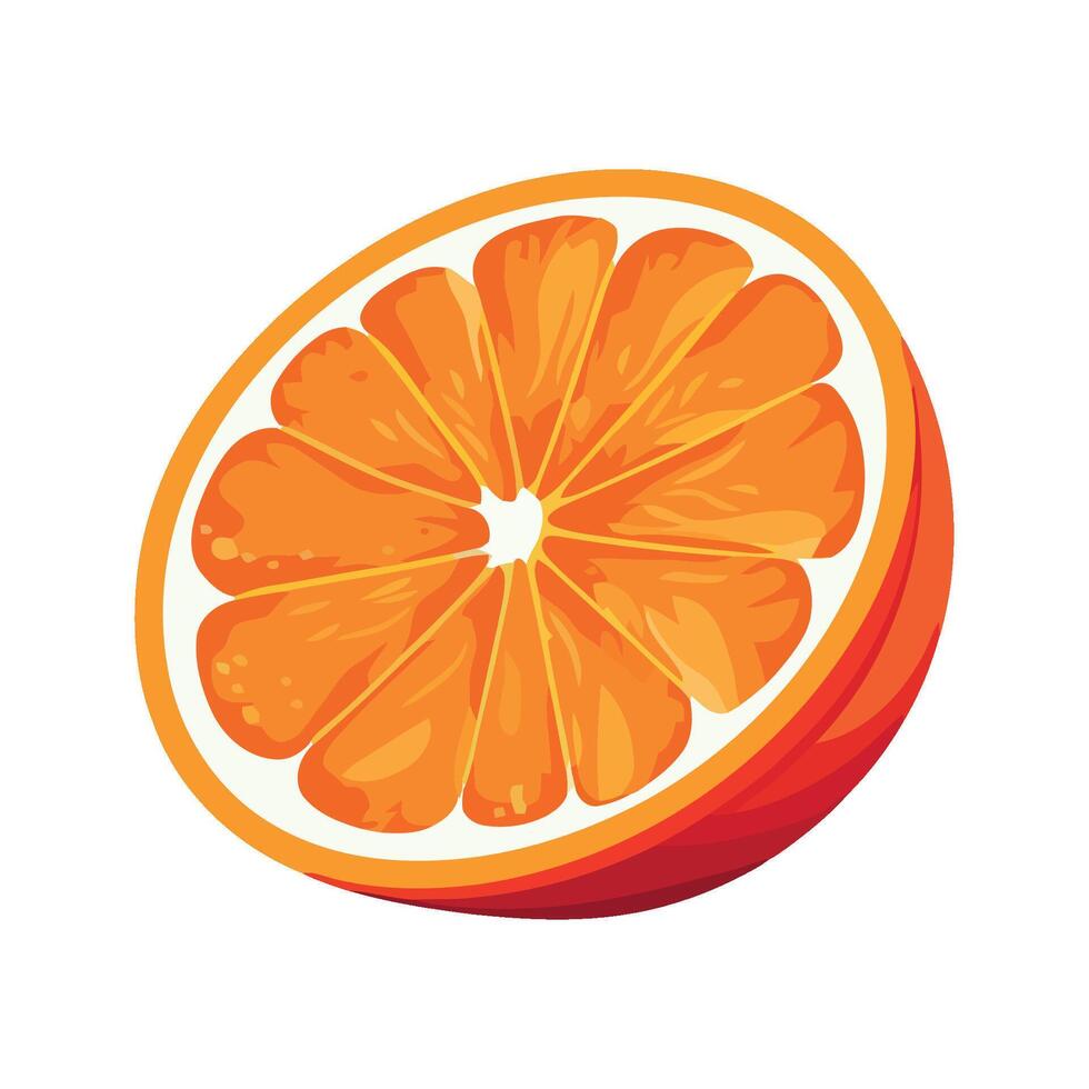 Fresh citrus slices isolated on white background vector