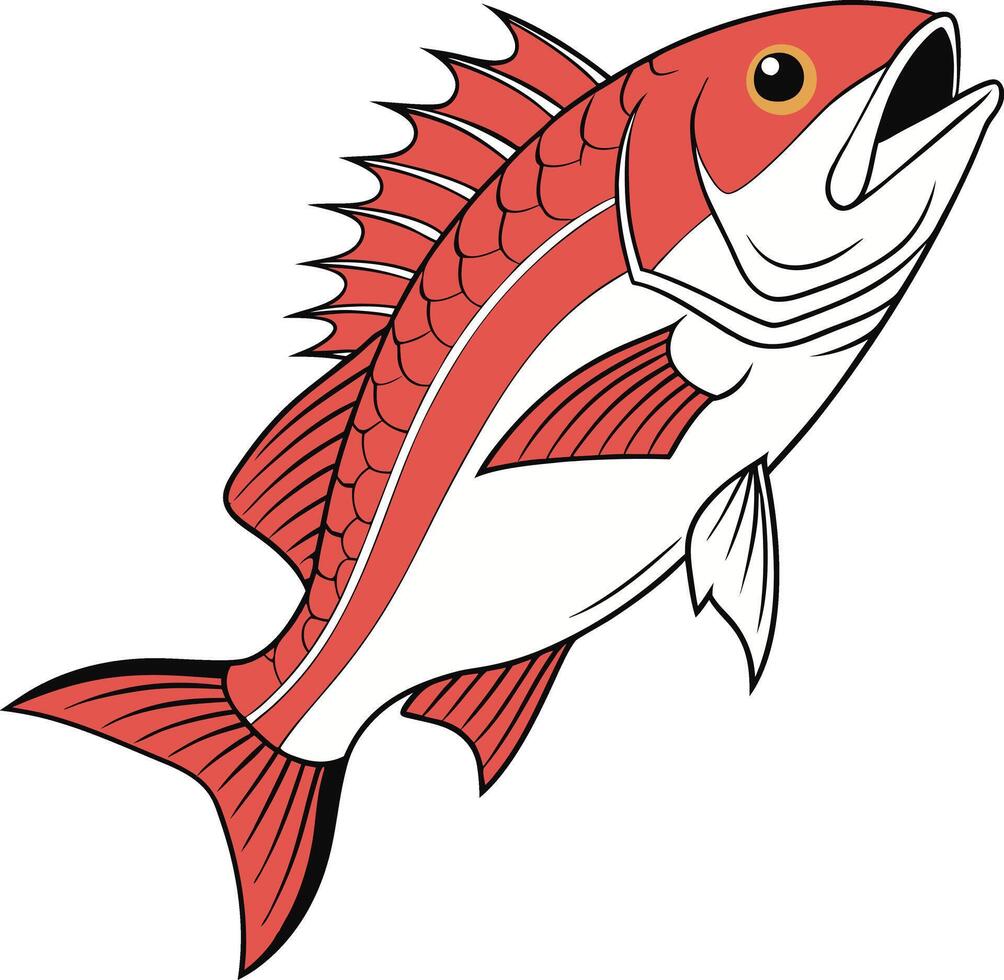 Vibrant orange and white striped anthias fish vector