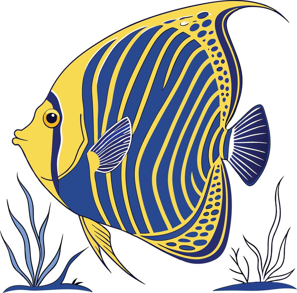 Drawing of Emperor Angelfish vector