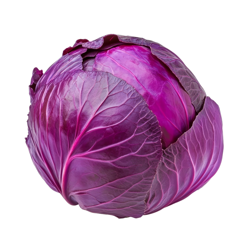 Fresh purple cabbage isolated on a clean transparent background showcasing its vibrant color and texture, purple cabbage isolated on transparent background png
