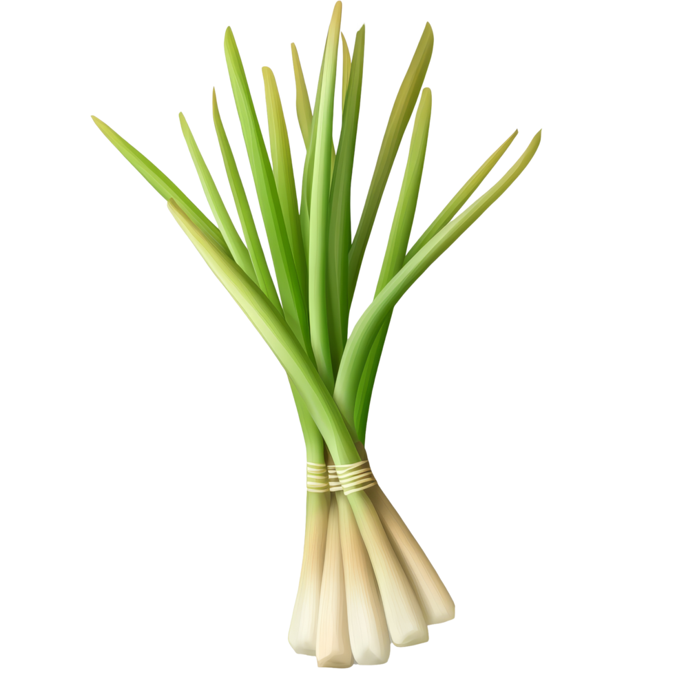 Lemongrass 1 Bunch (Approx 40 G - 100 G