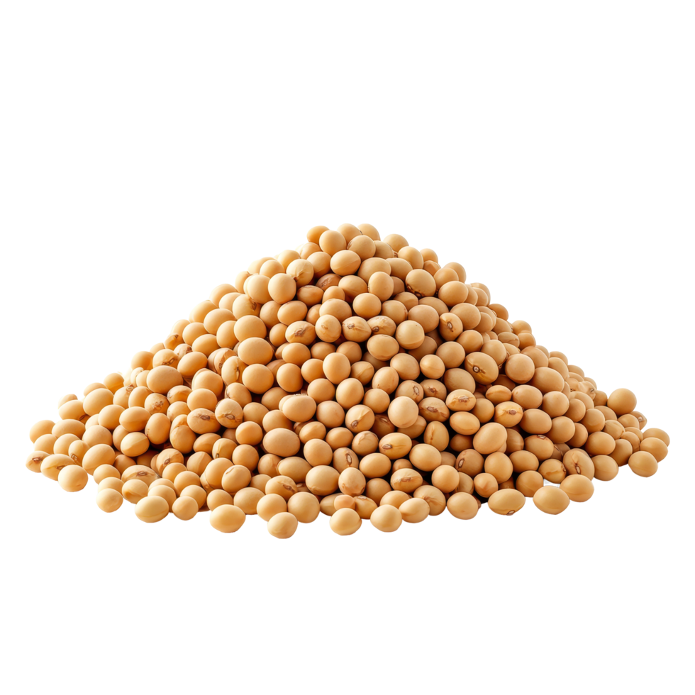 A large heap of soybeans isolated on a clean transparent background for agricultural and nutritional purposes, Heap of soybeans isolated png