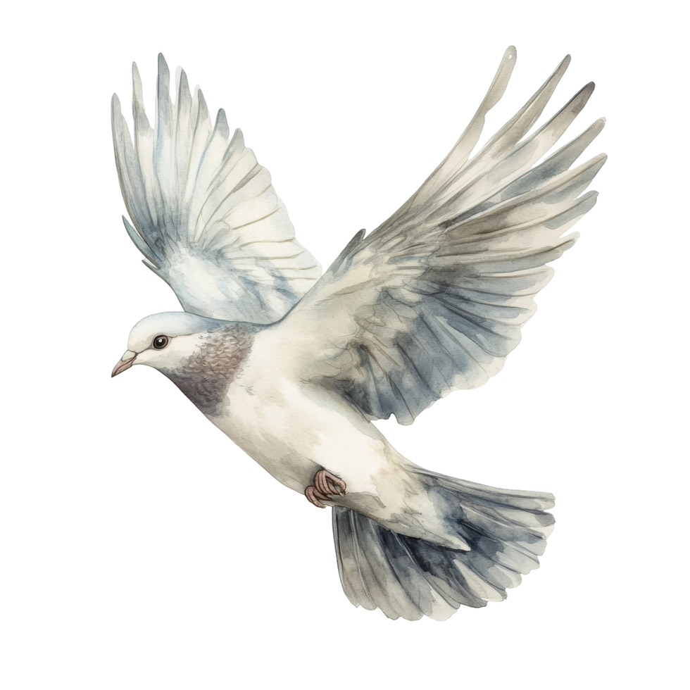 A graceful dove soaring against a pristine transparent backdrop, showcasing the beauty of flight and serenity, Dove isolated transparent background png
