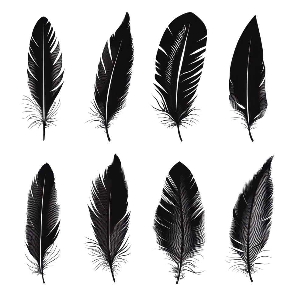 Elegant feather silhouettes in various shapes and sizes against a clean background for artistic use, feather silhouette png