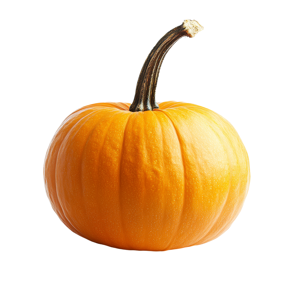 Bright orange pumpkin isolated on a clean transparent background showcasing its smooth texture and curved stem, pumpkin isolated on transparent background png