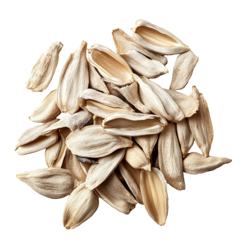 Peeled sunflower seeds isolated against a pure transparent backdrop showcasing their natural texture and color, Peeled Sunflower seeds isolated on transparent background png