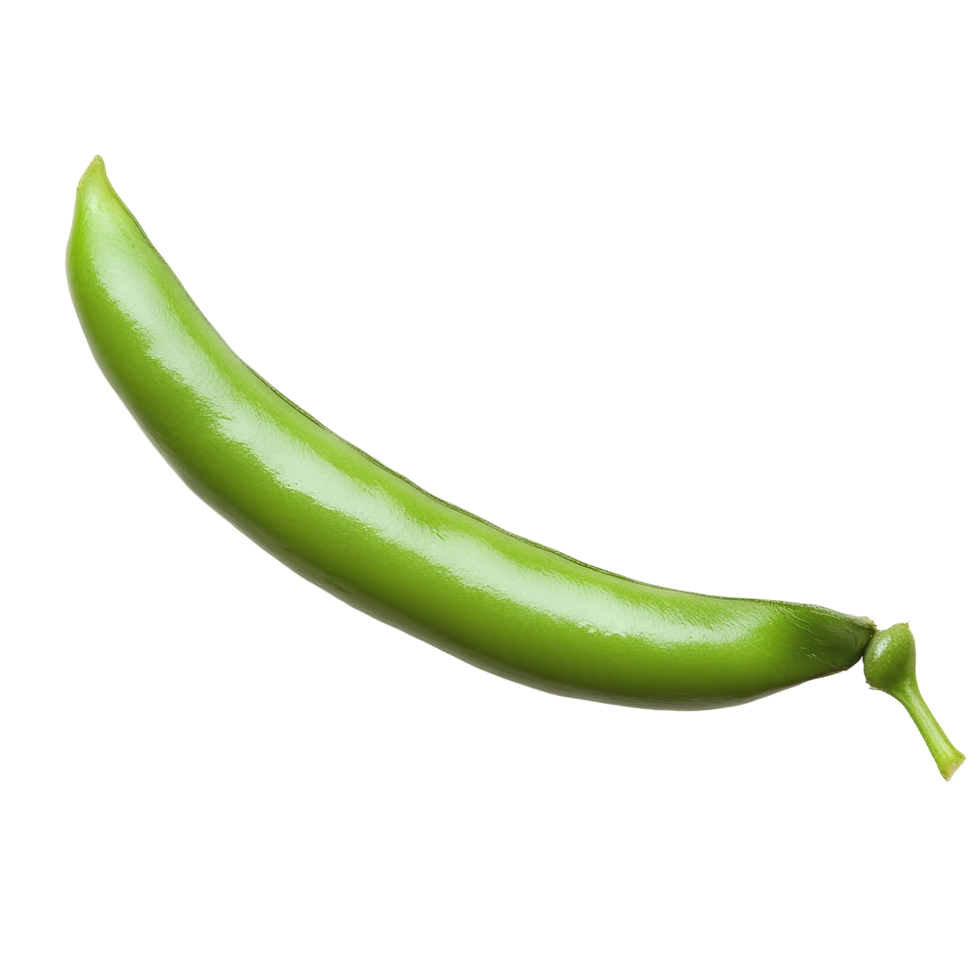 Fresh green bean isolated on a plain transparent background showcasing its smooth texture and vibrant color, green bean on transparent background png