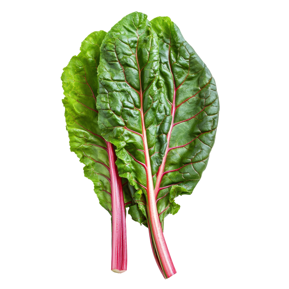 Fresh Swiss chard leaves isolated on a transparent background for culinary and nutritional purposes, Swiss chard leaves vegetable isolated on transparent background png