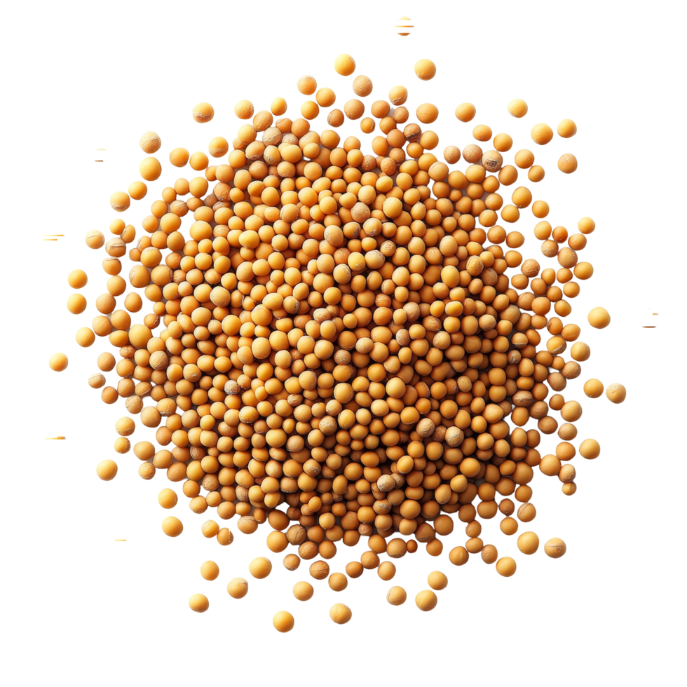 Mustard seeds scattered on a clean transparent background showcasing their vibrant yellow color and round shape, mustard seeds isolated on transparent background png