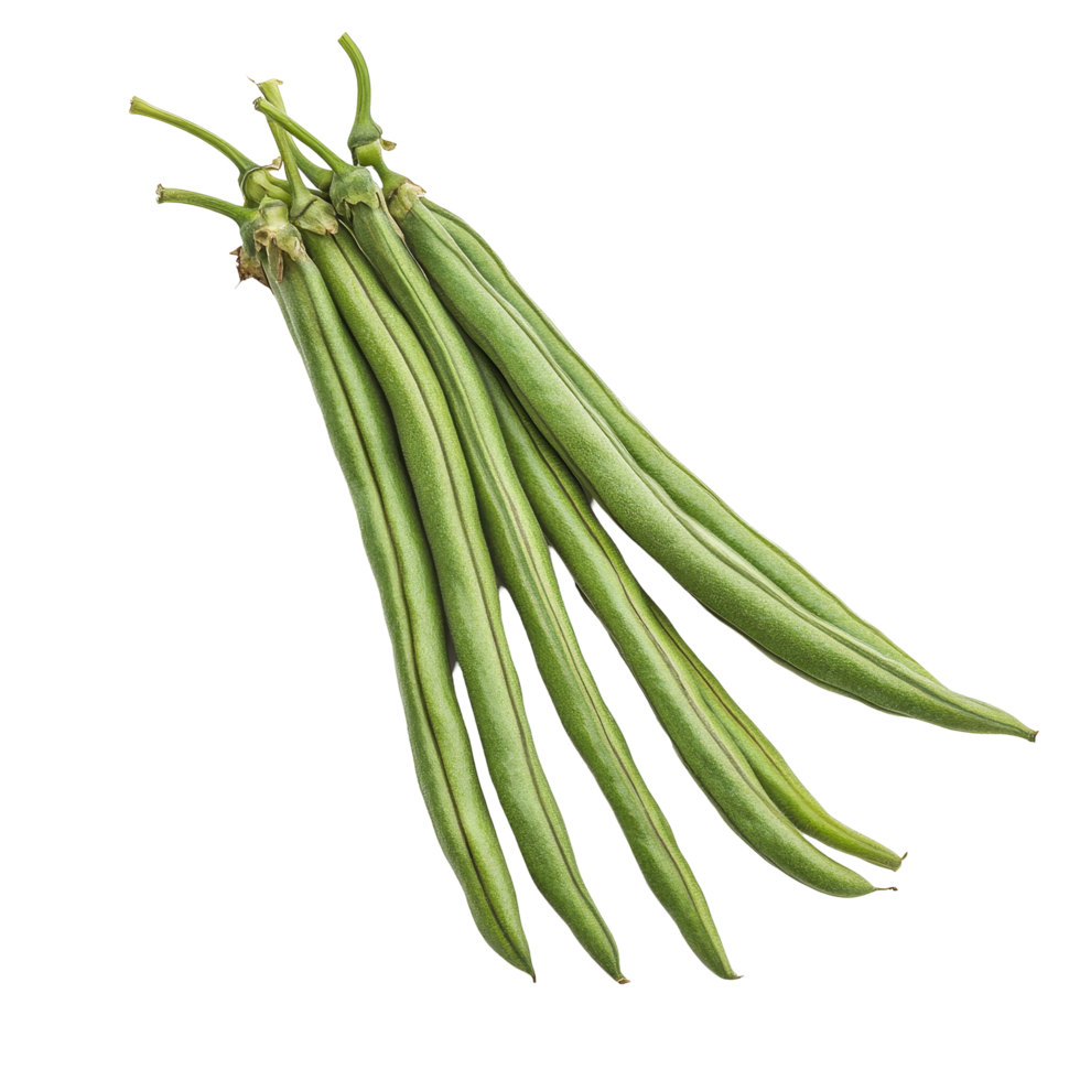 Fresh long beans on a clean transparent background showcasing vibrant green color and smooth texture, Long beans isolated on transparent background png