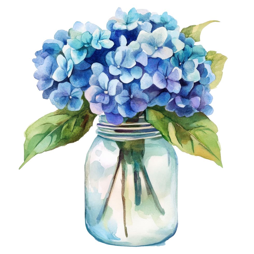 Beautiful watercolor hydrangeas in a jar, showcasing vibrant blues and greens for a fresh floral decor, hydrangea flowers in a jar isolated on a transparent background. hydrangea flower transparent background png