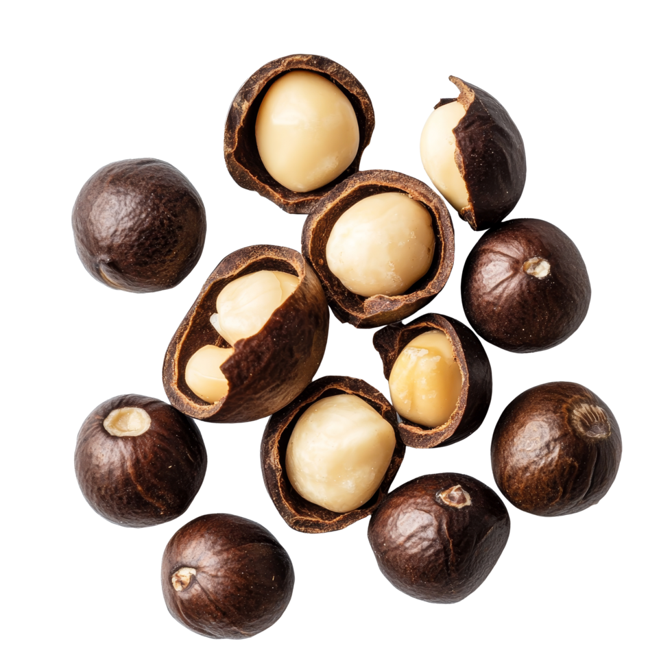 Fresh macadamia nuts displayed on a clean transparent background showcasing their rich textures and colors, macadamia on transparent background png