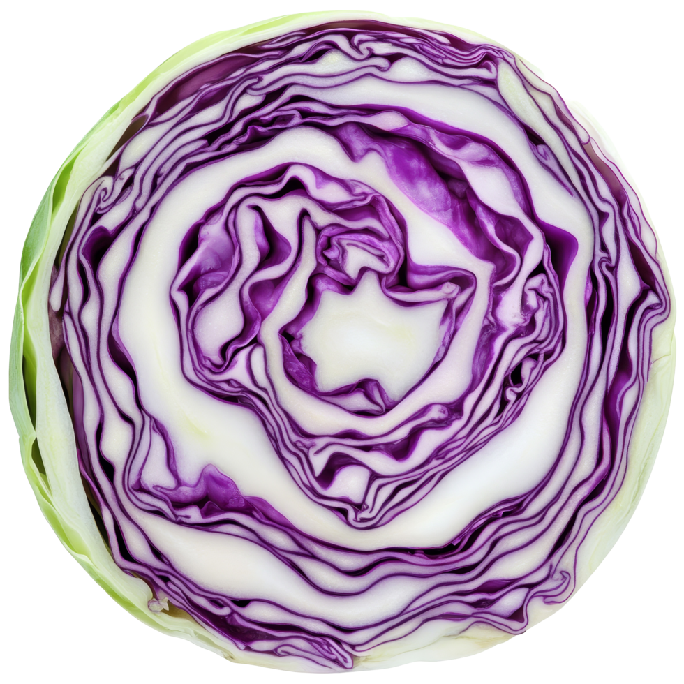 Freshly sliced red cabbage arranged in a spiral pattern on a clean transparent surface, cabbage slice isolated on transparent png