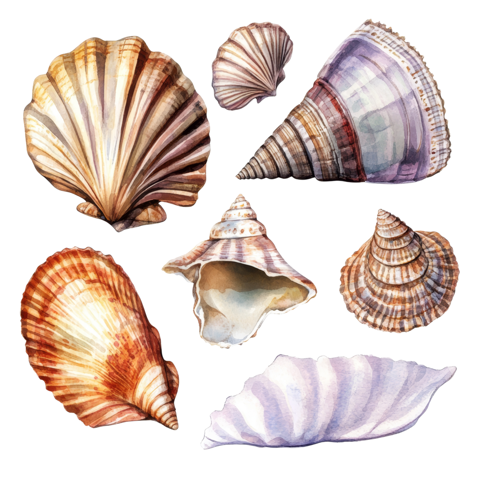 Explore retro vintage watercolor shells on a transparent background showcasing natural beauty and intricate design, Retro vintage shells on transparent background png