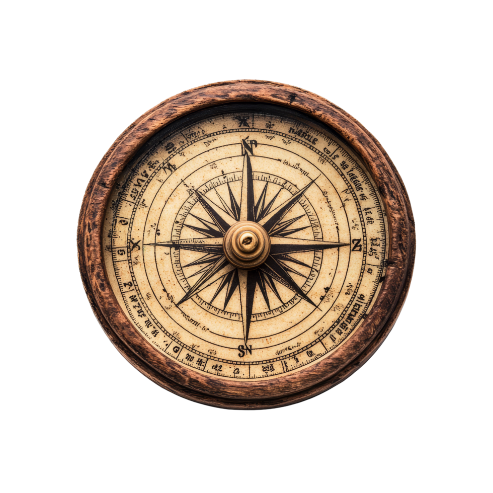 Explore the unique design of the WarzenSpindelstrauch on a crisp transparent background, WarzenSpindelstrauch on transparent background png