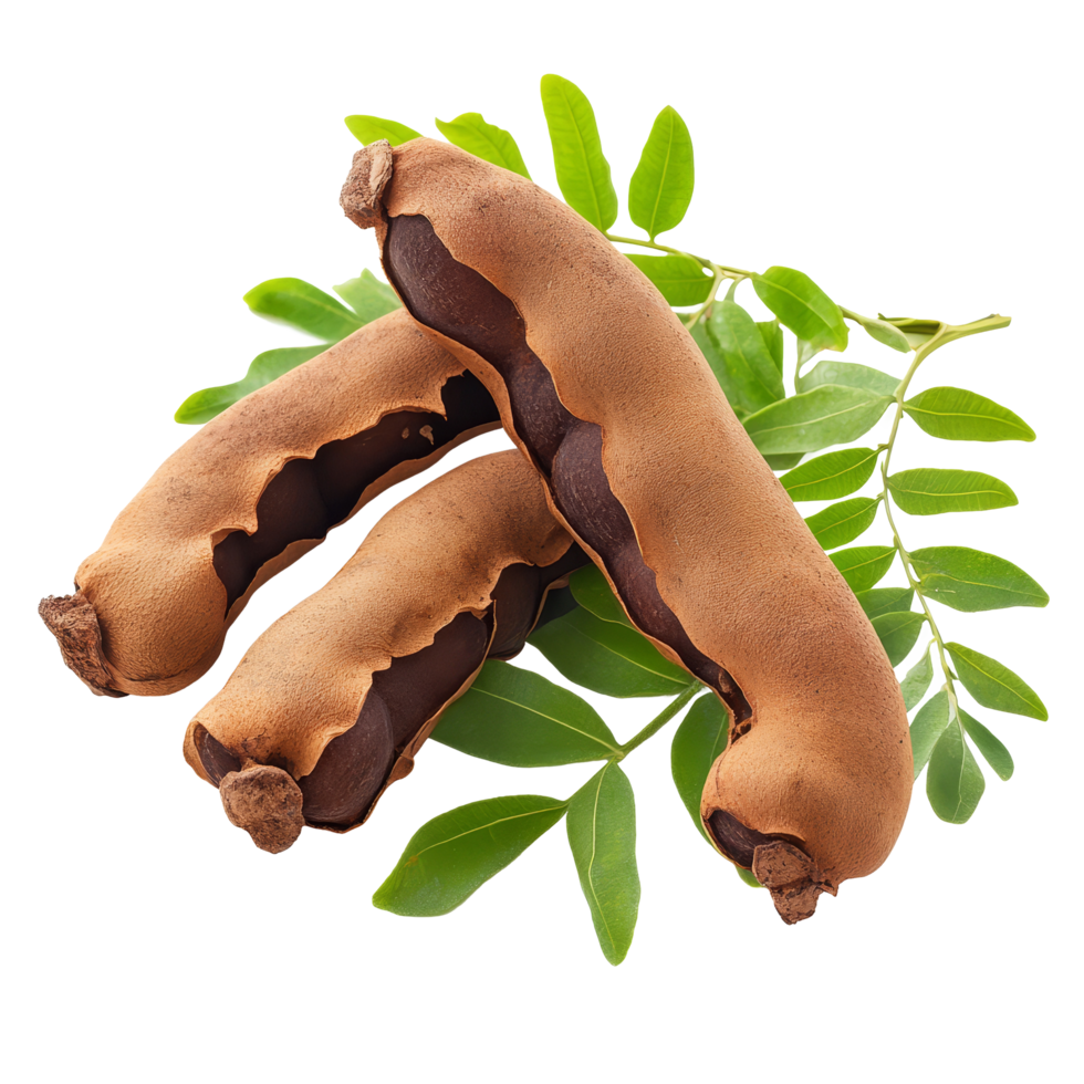 Tamarind pods with green leaves isolated on a transparent background showcasing their natural beauty and texture, tamarind with leaf isolated on transparent background png
