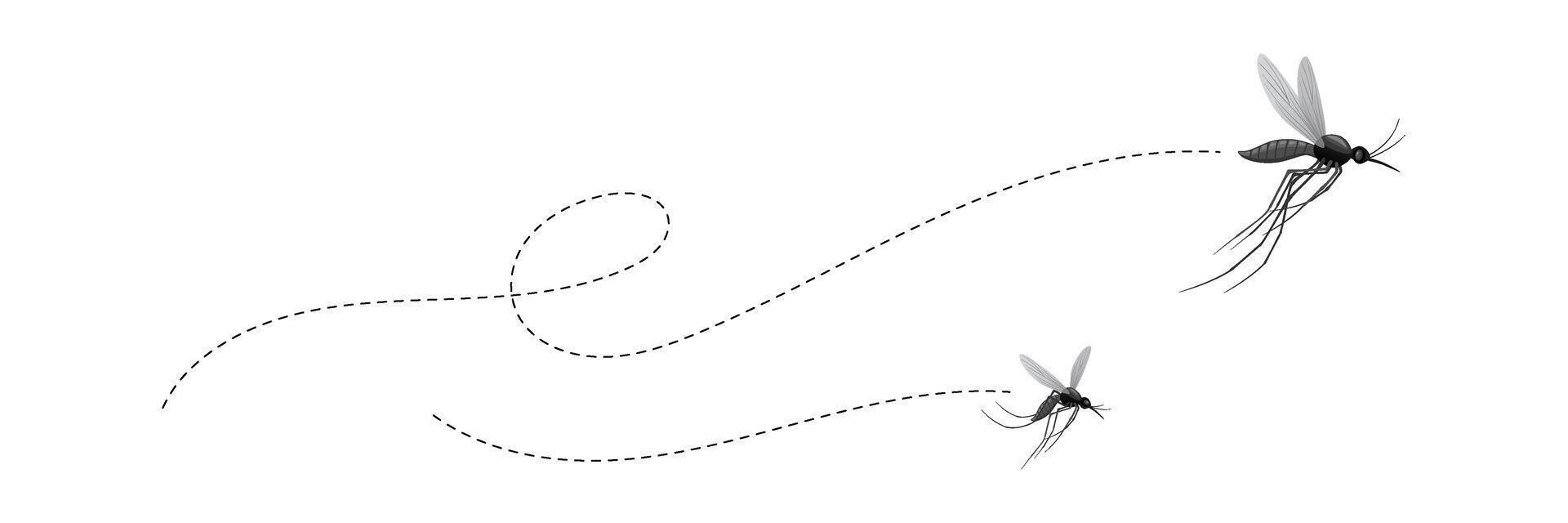 flying mosquitoes and their flight paths vector