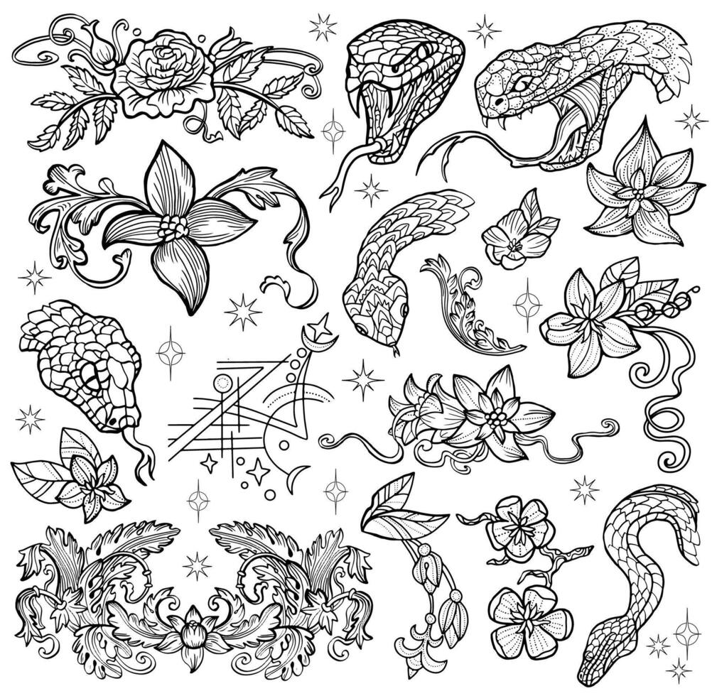 Hand drawn design set with line art illustrations of the snake - symbol of the year according to eastern horoscope, vicotrian patterns and flowers. Doodle artworks with esoteric and mystic concept vector