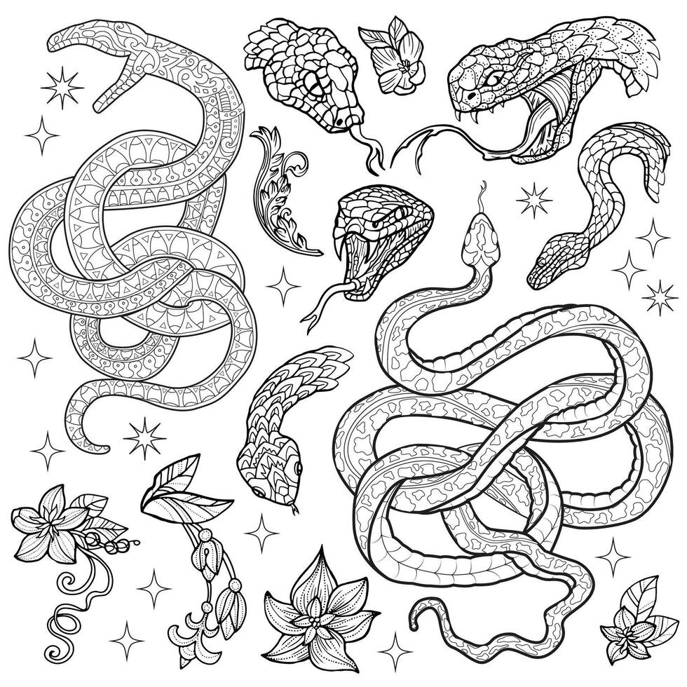Hand drawn design set with snake - symbol of the year according to eastern horoscope and flowers. Line art illustrations. Doodle artworks with esoteric, gothic and mystic concept vector