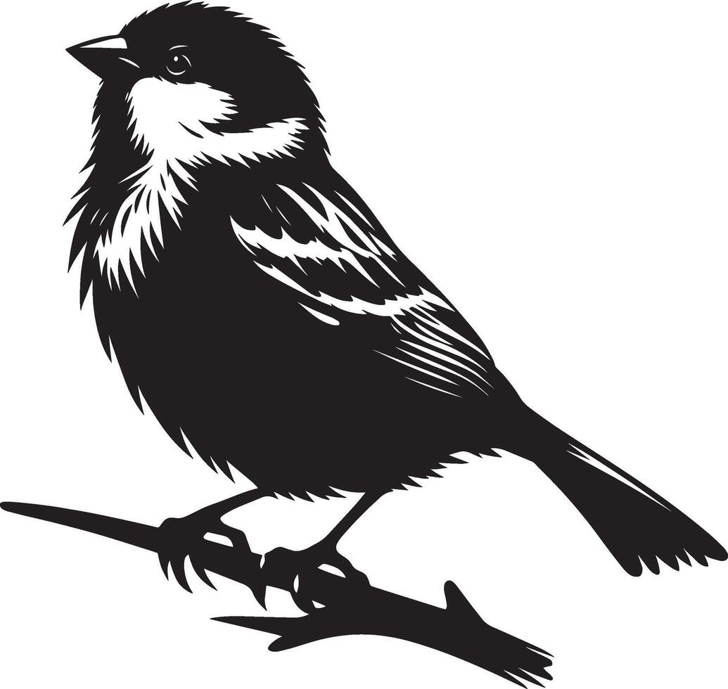 Crisp and clear sparrow bird outline on white vector