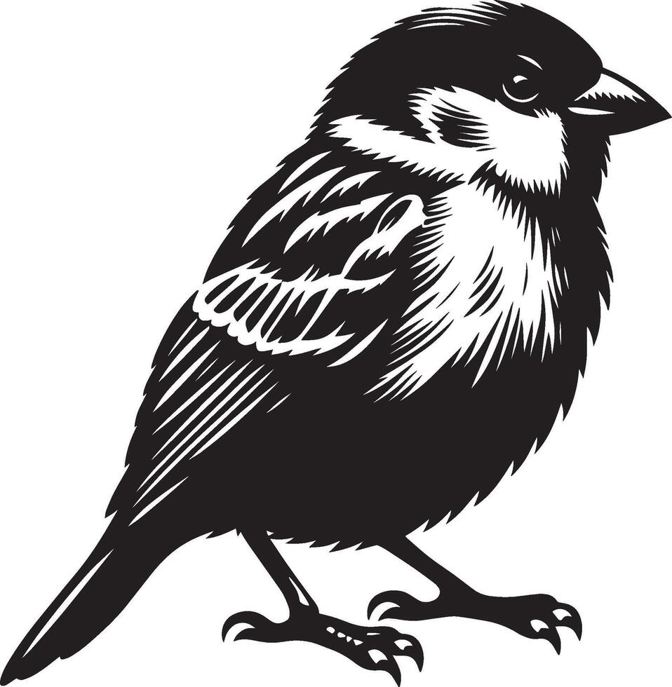 Polished sparrow bird silhouette on blank background vector