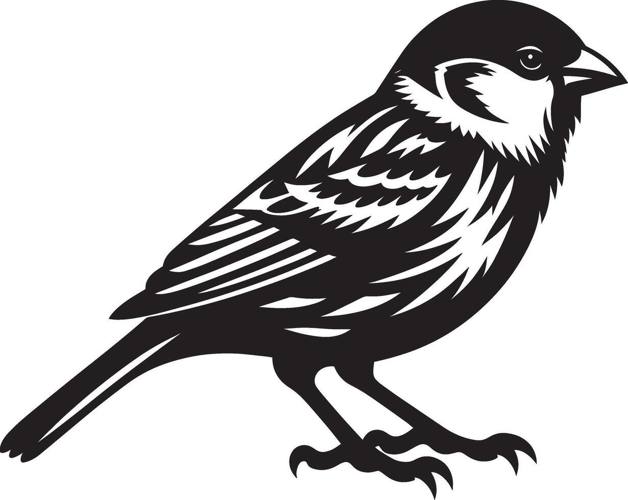 Spotless sparrow bird shadow illustration on plain backdrop vector