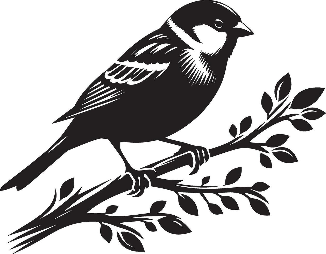 Fresh sparrow bird outline illustration on white vector