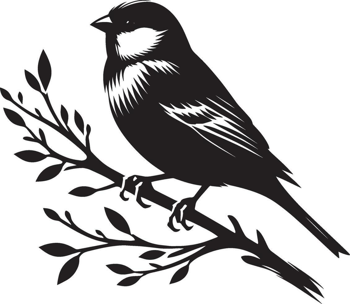Dainty sparrow bird shadow on white vector