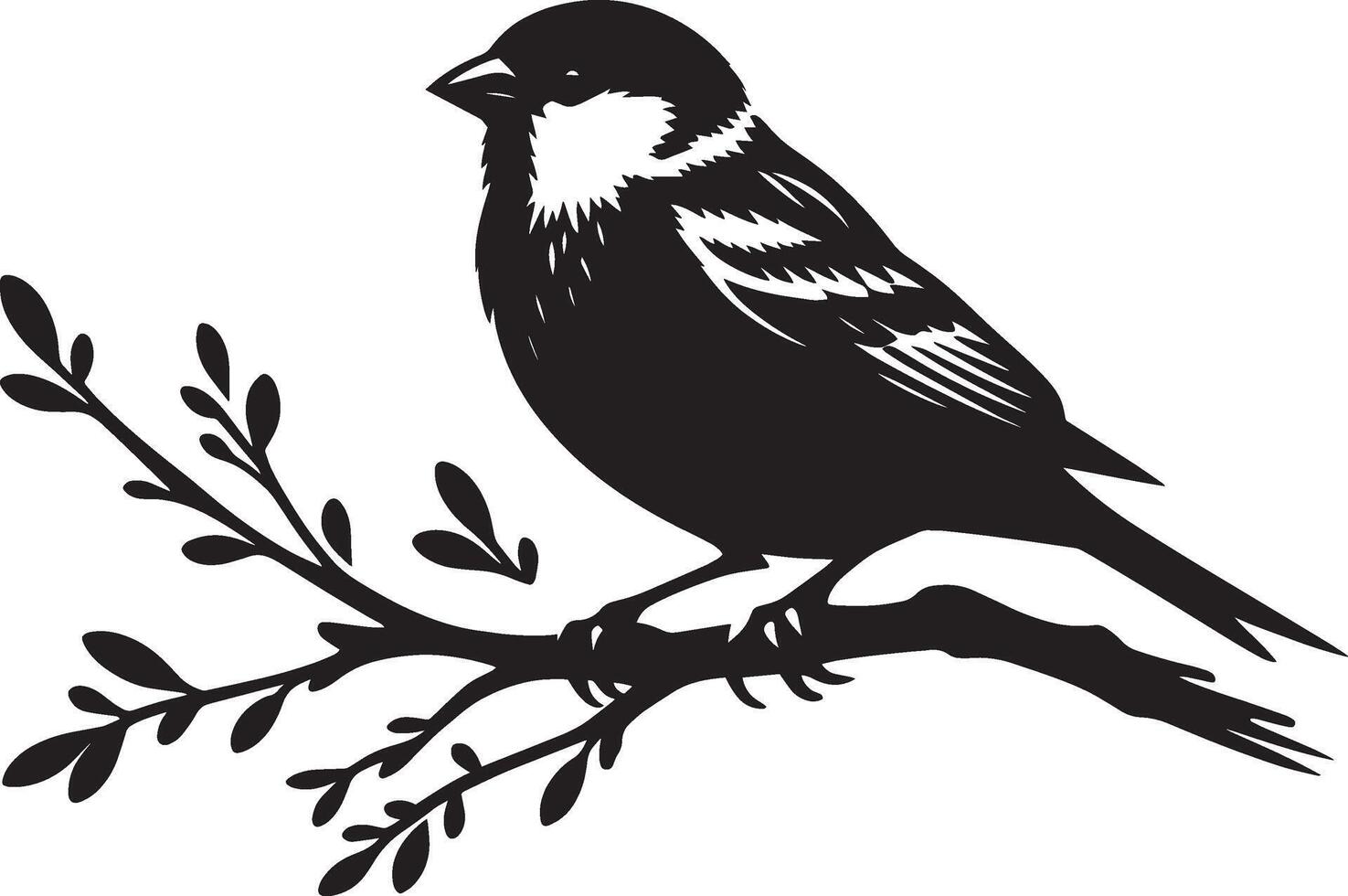 Clean sparrow bird contour on simple white backdrop vector