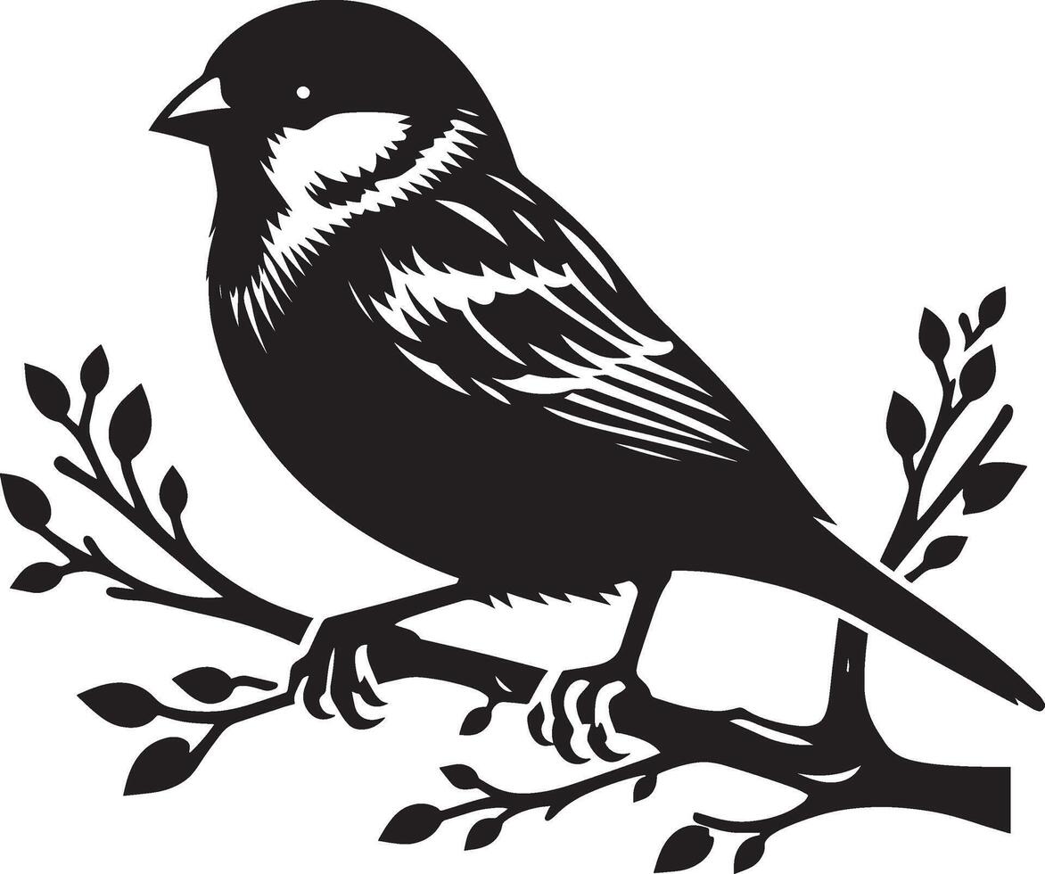 Bold sparrow bird shadow on white canvas vector