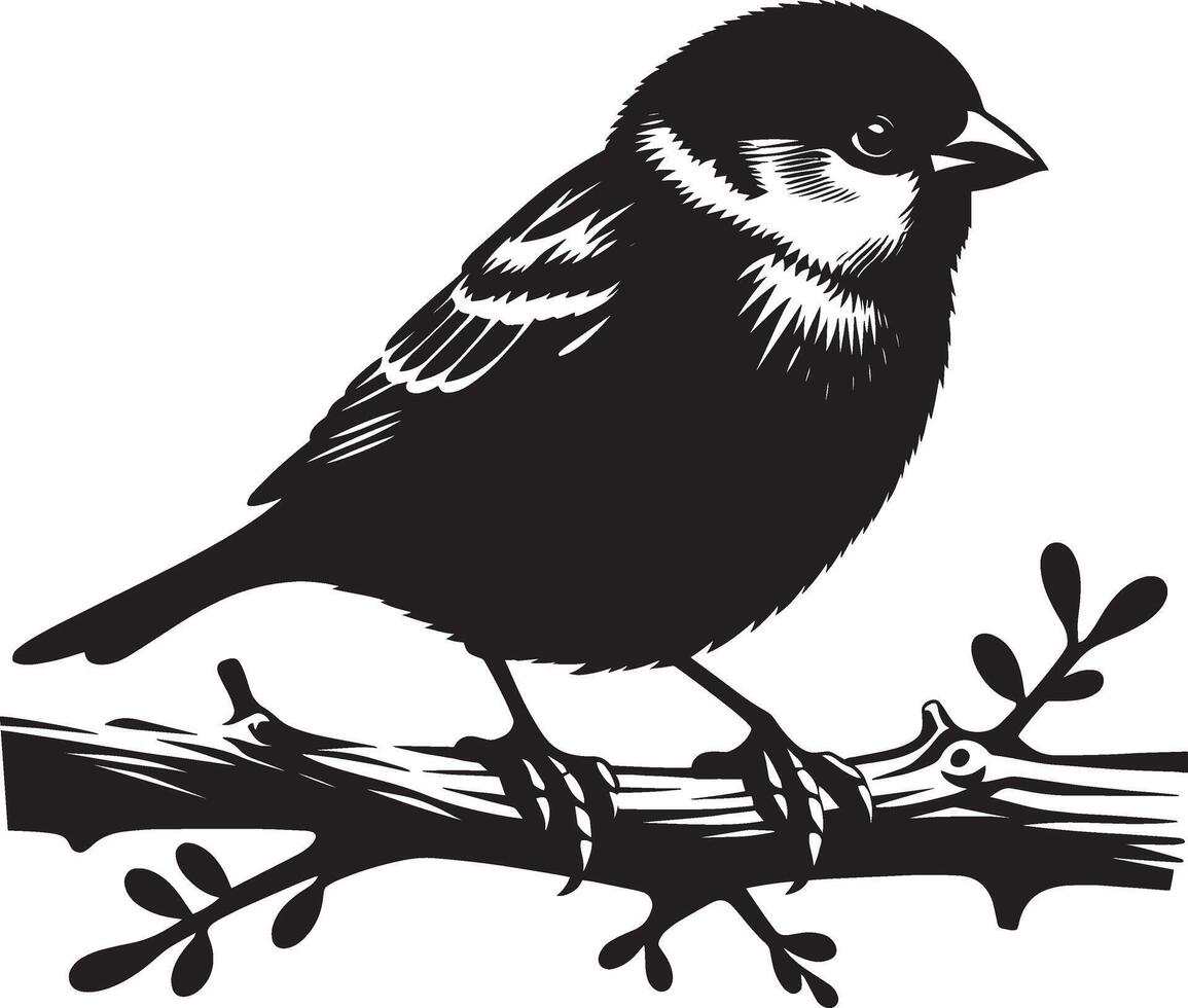 Inviting sparrow bird outline on clean white vector