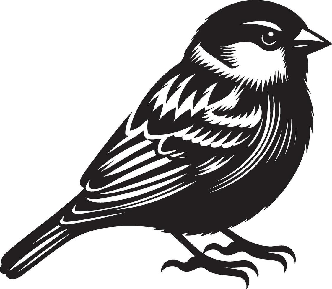 Pure sparrow bird contour illustration on white vector