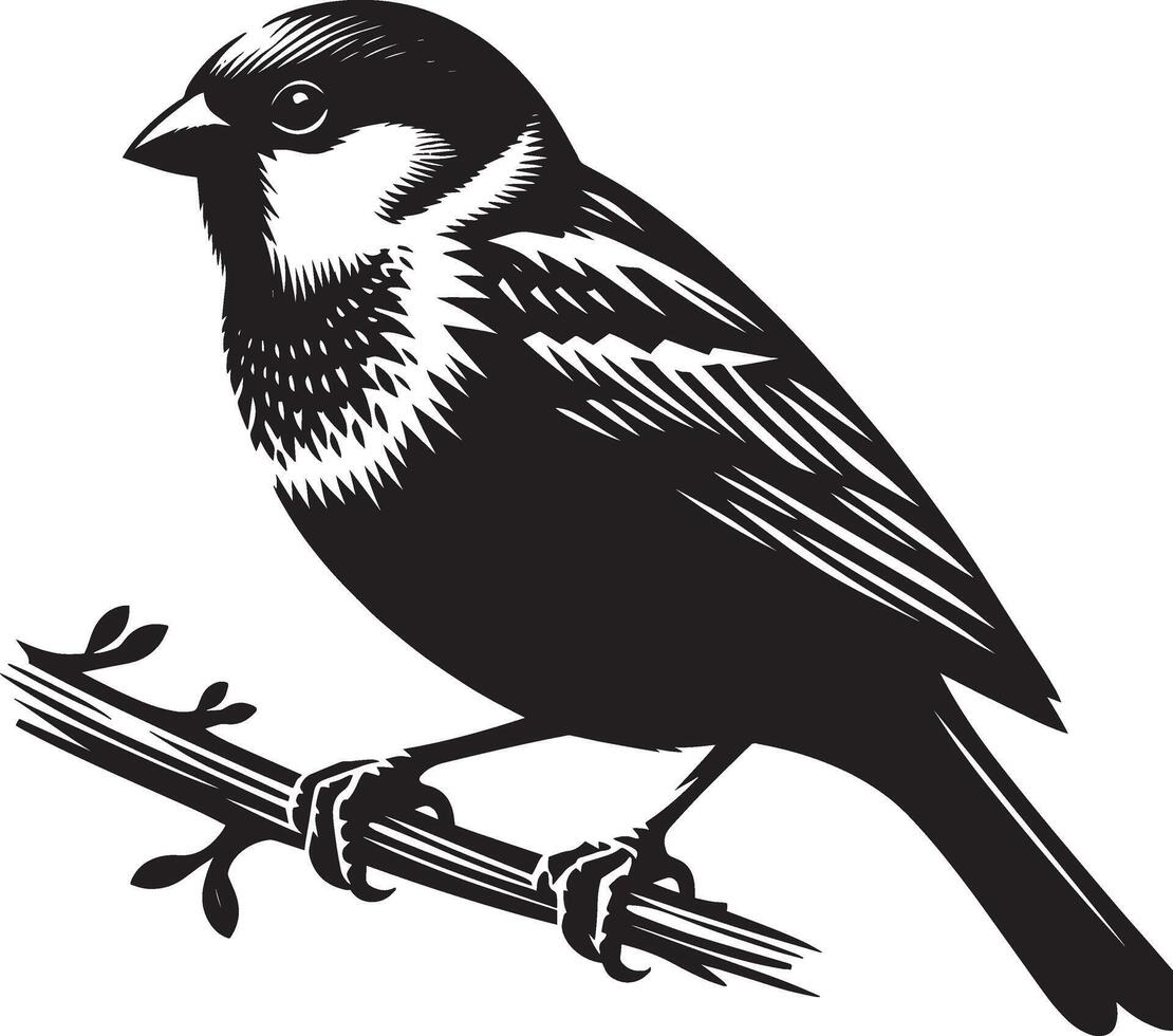 Majestic sparrow bird shadow illustration on clean white vector