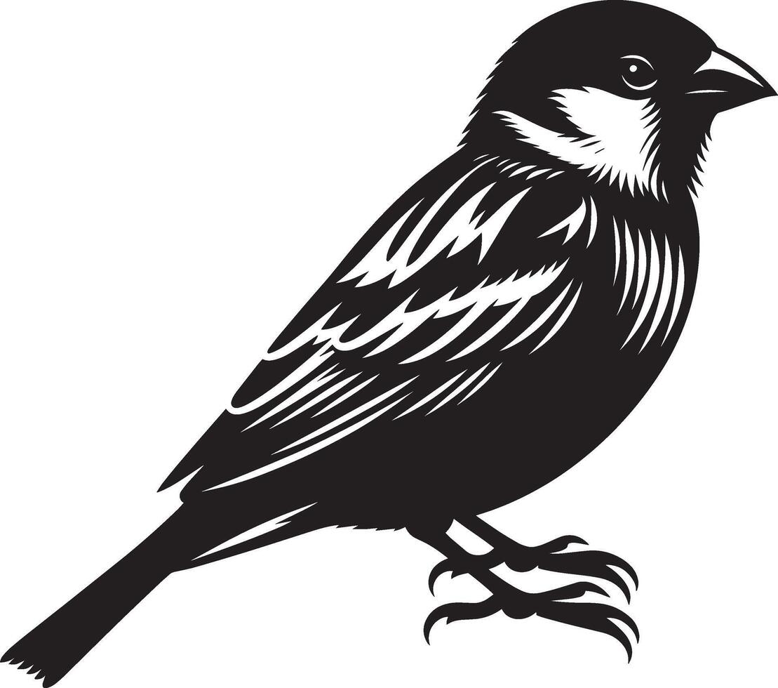 Captivating sparrow bird shadow illustration on white vector