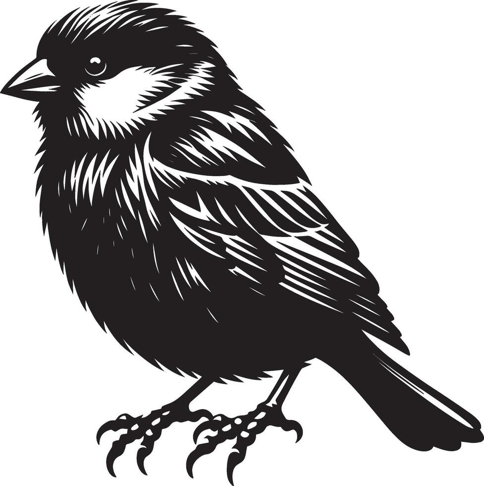 Delicate sparrow bird contour on white vector