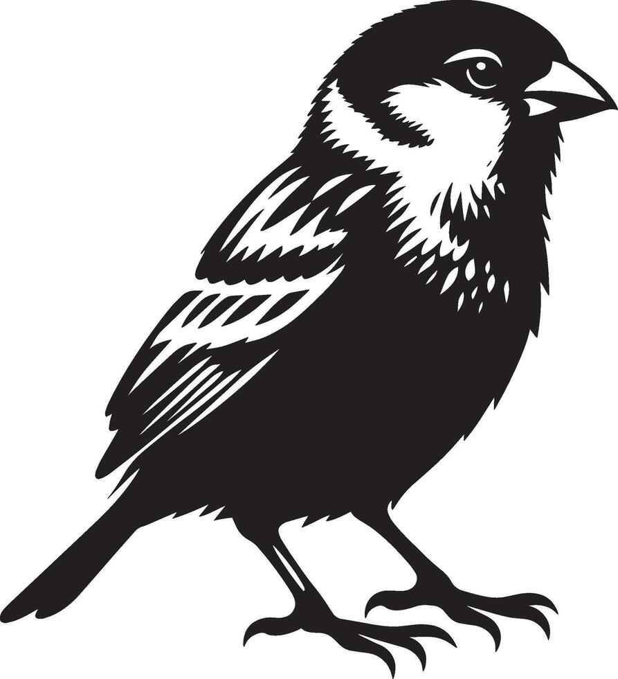 Unblemished sparrow bird shadow illustration on white background vector