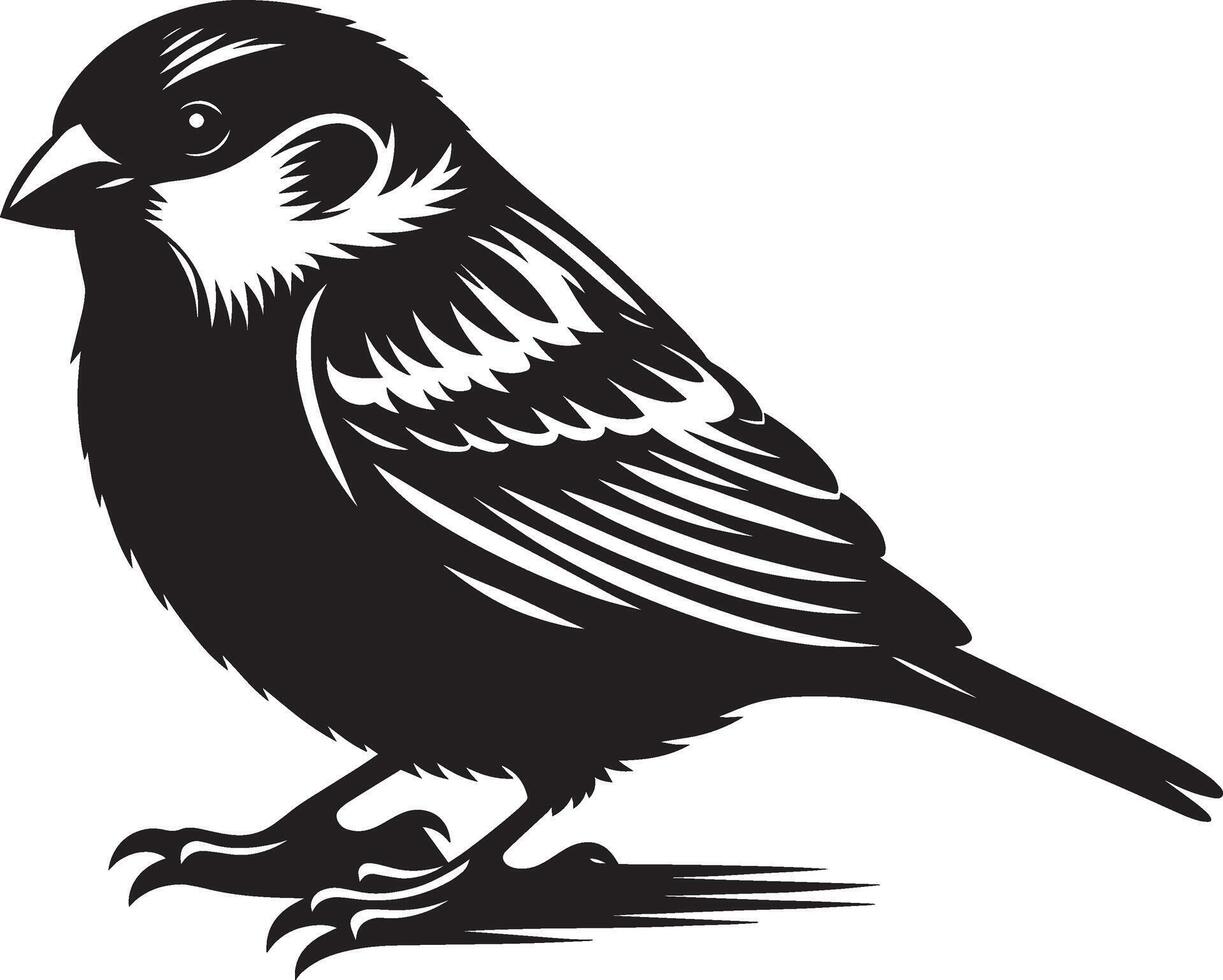 Bright and airy sparrow bird silhouette on white vector