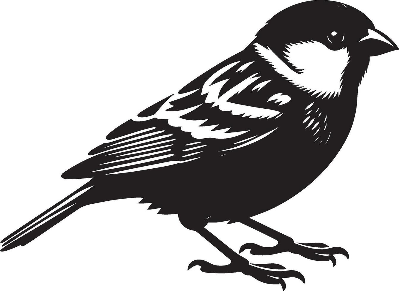 Pristine sparrow bird profile on clear white canvas vector