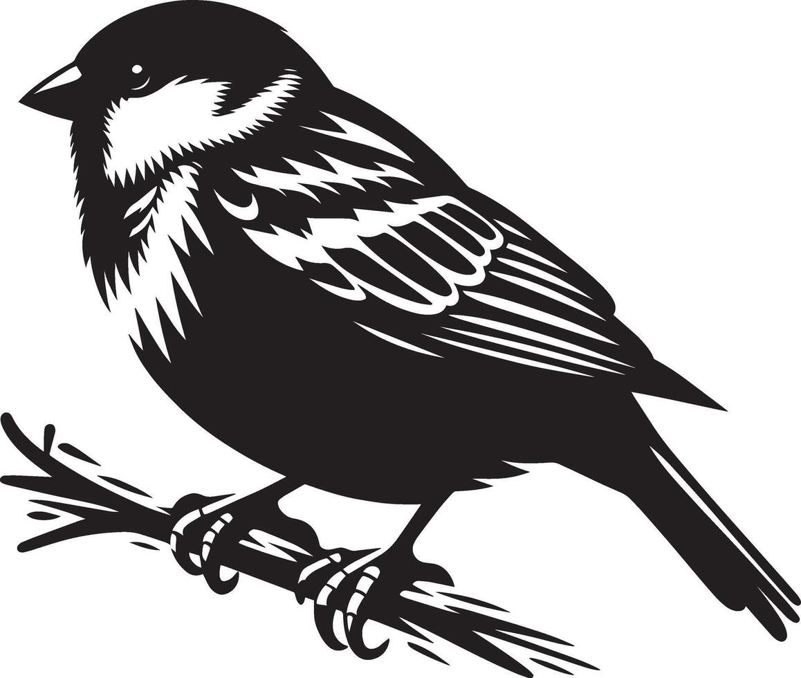 Sleek sparrow bird outline art on white vector